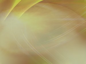 新人学数字化转型最需要掌握的内容
